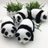 3056 *Baby Panda PASITOS c/Sonido* (19×13.5 cm.)