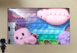 0447 *Sensory Box* (23×15 cm.) 6 Pcs.