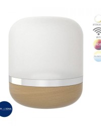 INTERIOR DECORATIVO 12.5W100-127VRGB710L