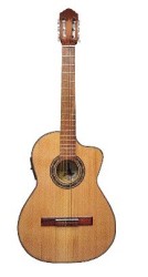 Guitarra Electroacustica Economica (MED-NOAE)