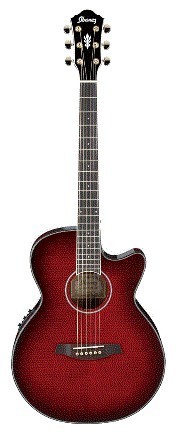 Guitarra Electroacustica Ibanez AEG24II Series