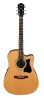 Guitarra Electroacustica Ibanez V (V205SECE-NT)