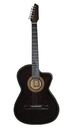 Guitarra Acustica Rockera La Española Negra