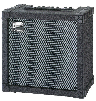 Combo Roland para Guitarra Electrica 80W 1X12