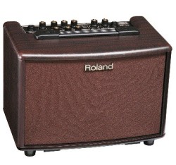Combo Roland para Guitarra Electroacustica 30W (AC-33)