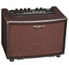 Combo Roland para Guitarra Electroacustica 30W (AC-33)