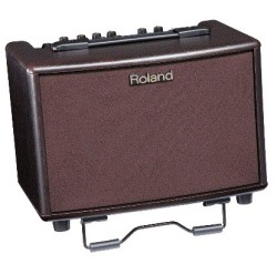 Combo Roland para Guitarra Electroacustica 30W (AC-33RW)