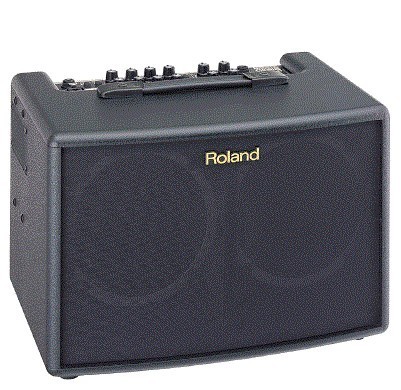 Combo Roland para Guitarra Electroacustica 30W (AC-60)