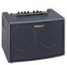 Combo Roland para Guitarra Electroacustica 30W (AC-60)