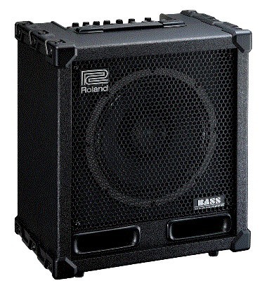 Combo para Bajo Electrico Roland (CB-120XL)