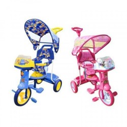 Triciclo Rainbow