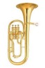Saxor Alto Fa/Mib AmatiI Laqueado (AAH212AO)