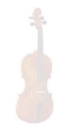 Viola Strunal Stradivarius con Arco Barbada y Estuche (3/9 W)