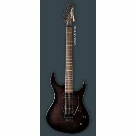 Guitarra Eléctrica WASHBURN GUITARRA WASHBURN ELECTRICA XMDLX2FRF I...