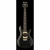 Guitarra Eléctrica PSR GUITARRA PRS SE 30TH ANNIV.CUSTOM 24 ISPAUCM...