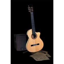 Guitarra Electroacustica ADMIRA GUITARRA ADMIRA E/ACUSTICA EVA-EC I...