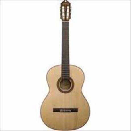 Guitarra Acústica WASHBURN GUITARRA WASHBURN CLASICA WC750SW ISWASW...