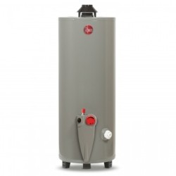 CALENTADOR RHEEM DEP STD G20 76L GN 29V20S/435145