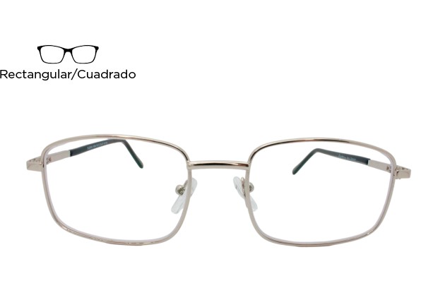 Lente Oftálmico Susan Ana Eyewear 1013 Plata