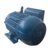MOTOR ELÉCTRICO MONOFASICO 3 HP