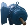 MOTOR ELÉCTRICO MONOFASICO 10 HP