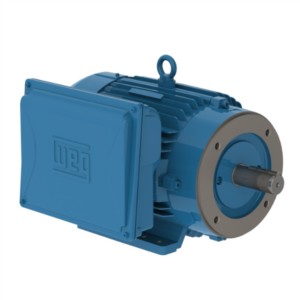 MOTOR ELÉCTRICO MONOFÁSICO 3 HP BRIDA C
