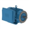 MOTOR ELÉCTRICO MONOFÁSICO 3 HP BRIDA C