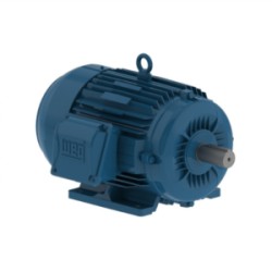 MOTOR ELÉCTRICO TRIFASICO 40 HP SIN BRIDA