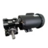 Motorreductor Corona Sinfin T-50 rel. 20 : 1  de 1 HP Trifasico