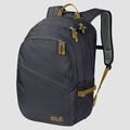 Mochila Jack Wolfskin Dayton Hombre Azules Mexico-4761321