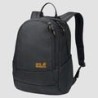 Mochila Jack Wolfskin Perfect Day Hombre Azules Mexico-2184731