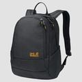 Mochila Jack Wolfskin Perfect Day Hombre Grises Oscuro Mexico-2576891
