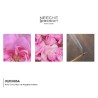 ROSA CAFE NICHE