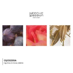 DIORELA NICHE