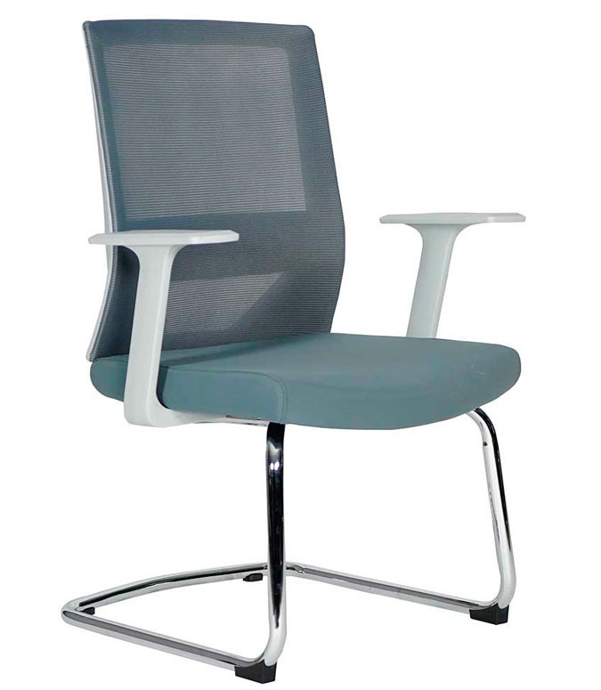 Vision Gray Visita
