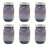 FRASCOS PARA ENVASE CON BOCA REGULAR MORADO DE 473 ML 6 PK BALL