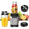 La Reveuse Personal Blender for Shakes and Smoothies 1000 Watt with 24 oz BPA-free Portable Travel Bottle, Dishwasher Safe Silve