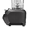 Hamilton Beach Commercial Rio Bar Blender, 1.6 HP, negro (HBB255)