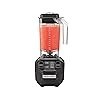 Hamilton Beach Commercial Rio Bar Blender, 1.6 HP, negro (HBB255)