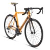 BICICLETA RODADA 700 ALUBIKE CITROEN 2018