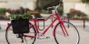 Bicicleta Rodada 700 Momentum Ineed Street Woman