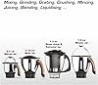 tarros de acero inoxidable BRONCE con extractor de jugo 750 Watts, 110 voltios con kit de servicio gratuito incluido