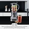 Breville the Fresh & Furious Red Velvet 50 oz Food Blender, 1100 Watts, 5 Speed Settings, Incluye Accesorios