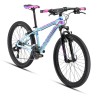 Bicicleta Rodada 24 Alubike DFW DIM 2018