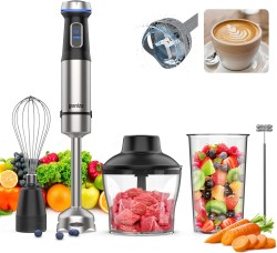 Ganiza Immersion Blender, Electric Hand Blender 800W with 15 Speed and Turbo Mode Handheld Blender Stainless Steel Blade, 5-in-1