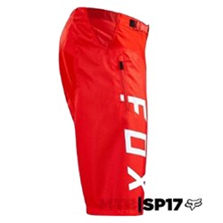 SHORT FOX DEMO