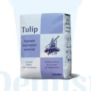 Tulip