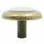 BOTON CON PLASTICO ALMENDRA FINCSA.