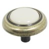 BOTON CON PLASTICO ALMENDRA FINCSA.