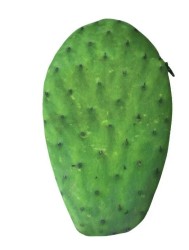 Monedero en forma de Nopal